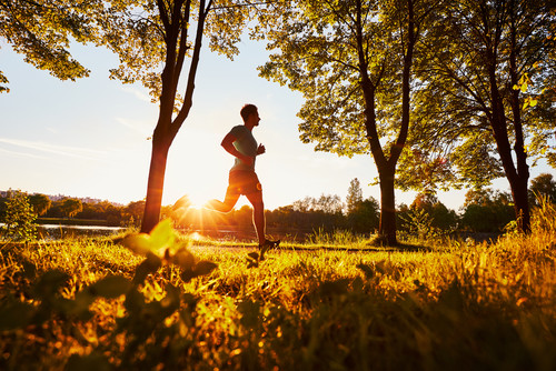 Frühsport vs. Abendsport: Wann ist die beste Zeit für Ihr Training?